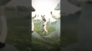 حبيبي زغير نونو ماما وبابا يادلعونه Shorts Short 