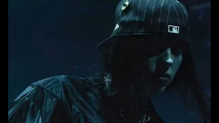 Billie Eilish WILDFLOWER Official Lyrics Video 