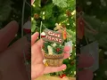 Tiny Things for my mini life at Hobby Lobby Check out the Christmas ornaments