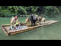 Download Lagu Vietnamese girl cooks for dogs, goats and goes fishing - ha thi muon