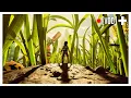 Download Lagu Honey, I Shrunk the Idiots… Again [SMii7Y VOD]