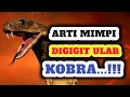 Download Lagu Arti Mimpi Digigit Ular Kobra Yang Perlu Anda Tau  Jangan Di Abaikan MP3