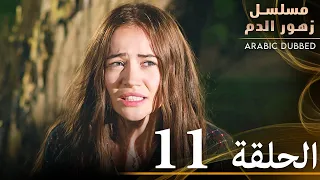 الحلقة 11 مسلسل زهور الدم مدبلج بالعربية Kan Çiçekleri 
