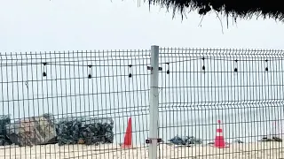 street beach interview