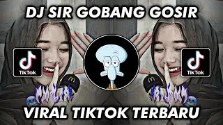 Download DJ SIR GOBANG GOSIR VIRAL TIKTOK 2023 MP3