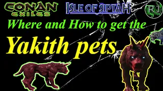 Where and How to get your YAKITH PETS Conan Exiles Isle of Siptah new pets are here