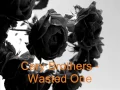Cary Brothers Wasted One