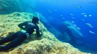 Learning How to Spearfish in Gozo, Malta
