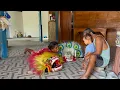 Download Lagu MBAH DAMIS DADI BARONGAN KINARA ORA WEDI SOALE MBAH E WES KOYOK BARONGAN TENAN👹🤣❤️🔥