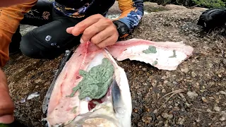 ACREDITE ISSO QUE SAIO DO PEIXE FOI NOSSA REFEIÇÃO!
