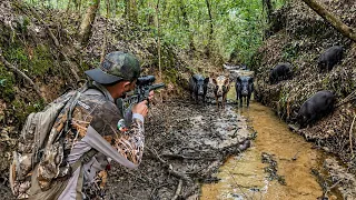 No Hay Escapatoria P3 Caza Y Cocina De Puercos