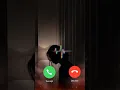 Lagu Sad ringtone π mood off π #ringtone #love #trending #pain