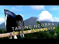 Download Lagu Joss..‼️ suara kacer dada hitam gacor tarung ngobra suara menggila
