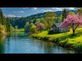 Download Lagu Самая красивая мелодия на свете!Красивая расслабляющая спокойная музыка, спокойная музыка 24/7