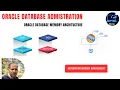 Oracle Database Memory Management AMM and ASMM