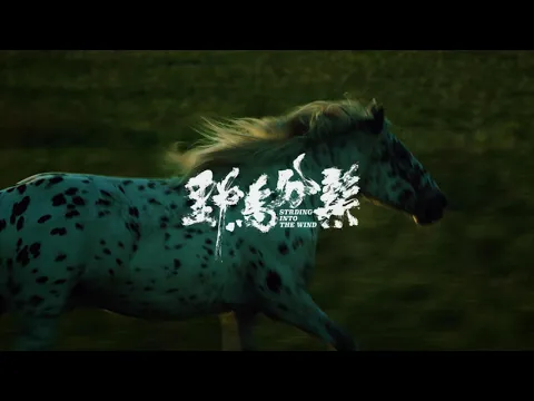 STRIDING INTO THE WIND Trailer| Cannes 2020 Wei Shujun's satire on current state of indie filmmaking