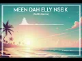 Meen Dah Elly Nseik - Nancy Ajram (FARES Remix)