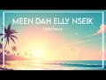 Download Lagu Meen Dah Elly Nseik - Nancy Ajram (FARES Remix)