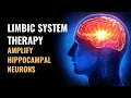 Limbic System Amplify Hippocampal Neurons Regulation of Autonomic Nervous System 528 Hz