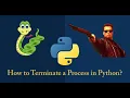 How to terminate a process in Python