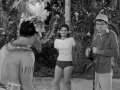 Mary Ann of Gilligan s Island