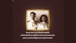 เพลง แสงแห่งแผ่นดิน official