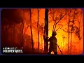 How Climate Change Is Transforming Our Planet - The Urgent Truth