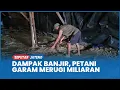 Dampak Banjir Bandang Pati, Petani Garam di Ketitang Wetan Merugi Miliaran Rupiah
