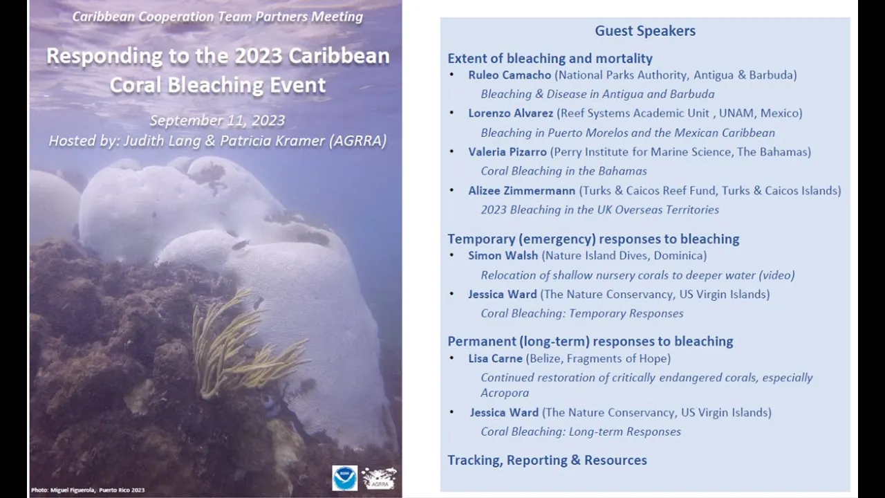 Responding to the 2023 Caribbean Coral Bleaching Event- September 11, 2023 CCT Webinar