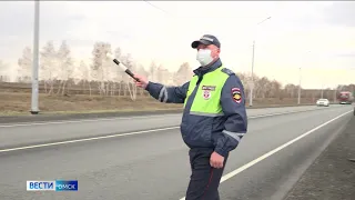 Водительское удостоверение омские автолюбители могут предъявлять в электронном виде