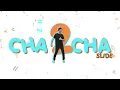 Download Lagu Cha Cha Slide Dance 2022