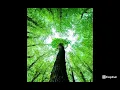 Gauna sport X under your spell remix (full from SoundCloud)