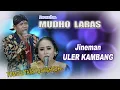 Download Lagu PATET SONGO JINEMAN ULER KAMBANG MUDHO LARAS KARAWITAN //KLENENGAN // TOMO//TATA SUNYAHYOH