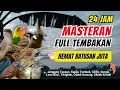 Download Lagu Masteran Kombinasi Tembakan Kasar Untuk Semua Jenis Burung Lomba