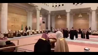 شاهد ردة فعل الفغم السريعه عند لمسه من الامير محمد بن سلمان رحمه الله 