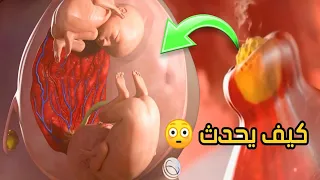 تكوين الجنين التؤام في رحم الأم مشاهد مذهلة تعرض لأول مرة 