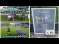 Relaxing professional on-site chair table massage provided in SF North Bay