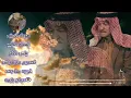 ياس خضر صوت الارض 2023