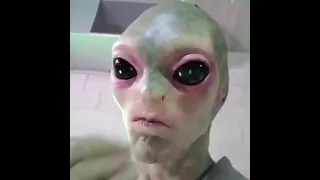 شاهد المخلوق الفضائي كيف يضحك    دندنها