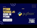 Debug on Python