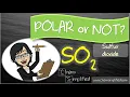 Is SO2 Polar or Nonpolar Molecular polarity for SO2 - Dr K