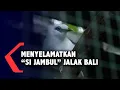 Download Lagu Penangkaran Si Jambul Jalak Bali