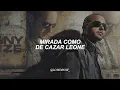 Tony Dize, Plan B - Solos (Letra)