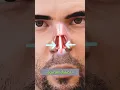 Download Lagu Burnunu Neden Karıştırmamalısın. #bilgi #viralshorts