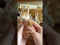 let s see how many bunnies I can make before Easter day 5 bunny count 9