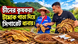 চীনের গভীর জঙ্গলে কৃষকদের কঠোর জীবন! 🇨🇳 তামাক পাতা থেকে সিগারেটও বানায় | China Village Life