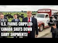 Download Lagu Canada SLUIT de deur voor Amerikaanse zuiveltransporten — Trump KOMT, boerderijen VREZEN voor ine...