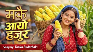 मकै आयो हजुर मकै आयो ||  MAKAI AAYO HAJUR MAKAI AAYO