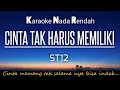 Download Lagu ST12 - Cinta Tak Harus Memiliki Karaoke Lower Key Nada Rendah -4