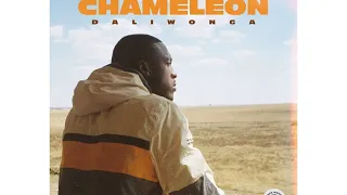daliwonga gumba fire ft madumane mkeys u0026 kabza de small 